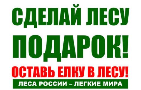 Сделай лесу подарок-оставь ёлку в лесу!.