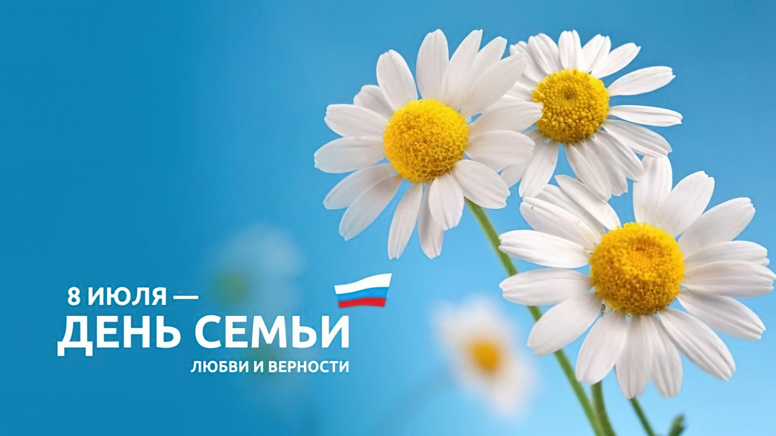 8 июля вся Россия отмечает очень душевный праздник с красивым названием -День семьи, любви и верности..
