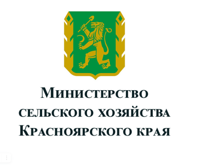 Улучшение жилищных условий молодых семей и молодых специалистов в 2025 году.