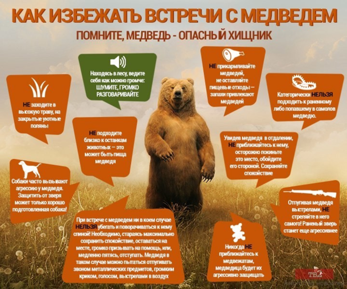 В любое время и в любом месте, и морально надо быть к этому готовым. Лучший способ предотвратить конфликт при встрече с медведем — это избежать встречи с ним.. В любое время и в любом месте, и морально надо быть к этому готовым. Лучший способ предотвратить конфликт при встрече с медведем — это избежать встречи с ним..