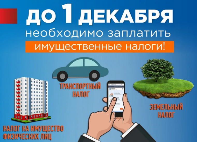Уплатите налоги не позднее 1 декабря 2023 года!. Уплатите налоги не позднее 1 декабря 2023 года!.