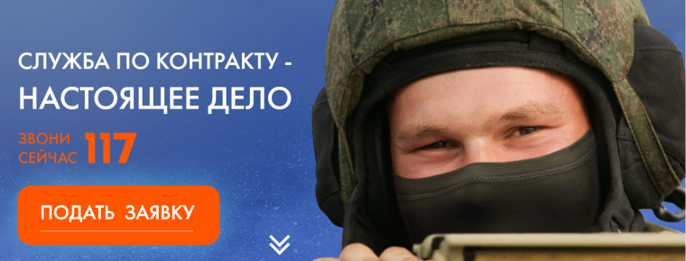 АРМИИ НУЖНЫ ПРОФЕССИОНАЛЫ. АРМИИ НУЖНЫ ПРОФЕССИОНАЛЫ.