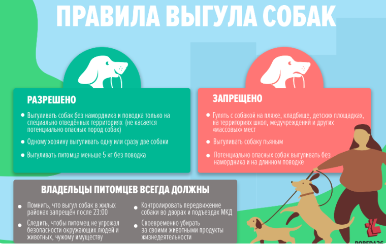 Ответственность за самовыгул собак в 2023 году: какое наказание предусмотрено за собаку без привязи. Ответственность за самовыгул собак в 2023 году: какое наказание предусмотрено за собаку без привязи.
