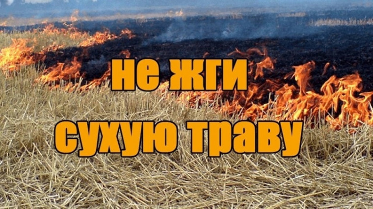Травяной пал — это такой же пожар, как и любой другой. А пожар проще предотвратить, чем потушить.. Травяной пал — это такой же пожар, как и любой другой. А пожар проще предотвратить, чем потушить..