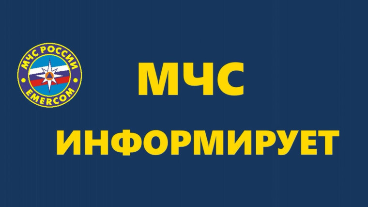 Правила поведения человека при встрече с медведем. Правила поведения человека при встрече с медведем.