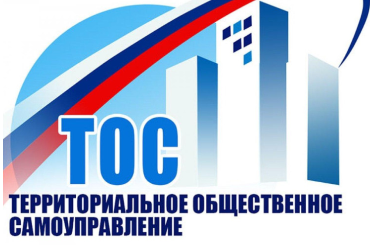 Территориальное общественное самоуправление (ТОС). Территориальное общественное самоуправление (ТОС).