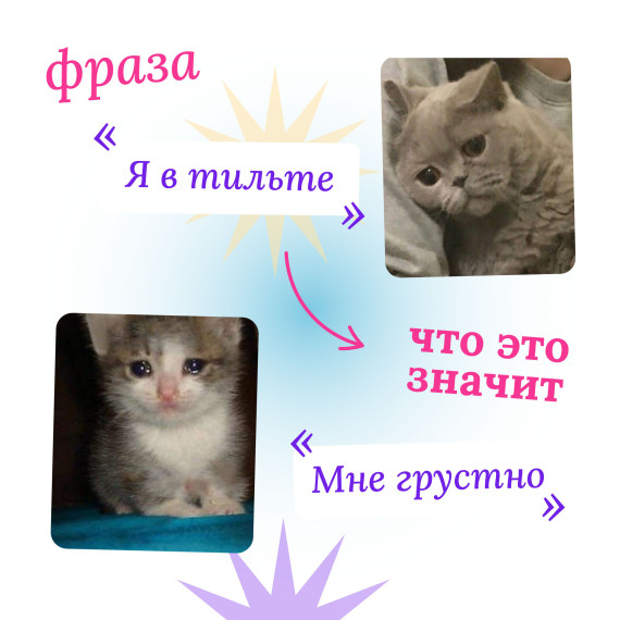 Паблики школ рассказали про молодежный сленг. Паблики школ рассказали про молодежный сленг.