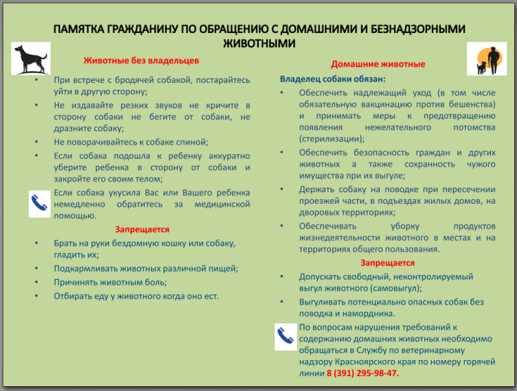 Памятка по обращению с домашними и безнадзорными животными. Памятка по обращению с домашними и безнадзорными животными.
